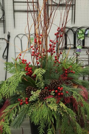 CHRISTMAS PLANTER WORKSHOP NOV 17TH - image 6