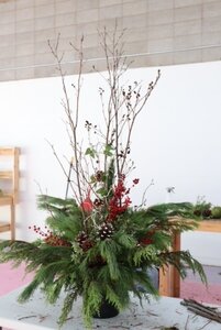 CHRISTMAS PLANTER WORKSHOP NOV 17TH - image 3